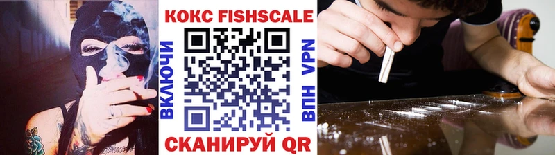 Кокаин FishScale  где купить наркоту  Ставрополь 