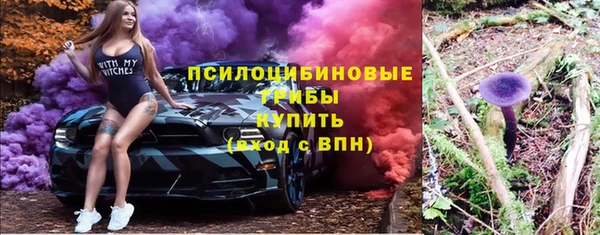 крисы Верхнеуральск