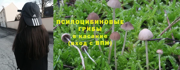 гидропоника Верхний Тагил