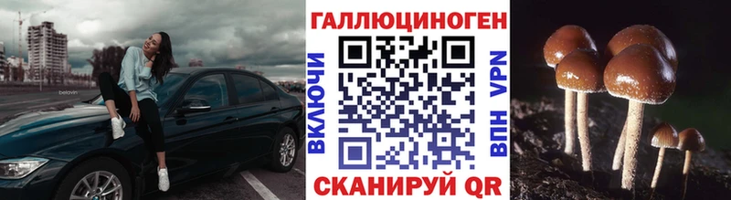omg онион  наркотики  Ставрополь  Псилоцибиновые грибы мухоморы 